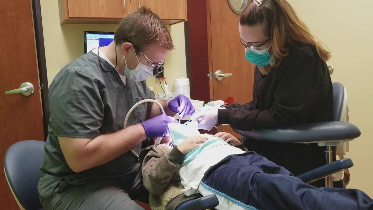 My First Dentist Visit