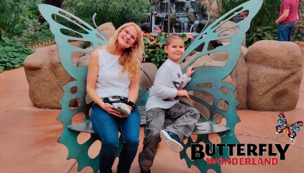 Butterfly Wonderland Scottsdale Arizona