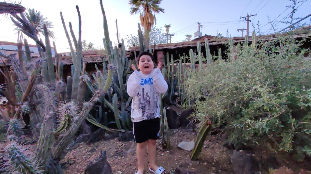 Arizona Cactus Garden Museum With Treasures